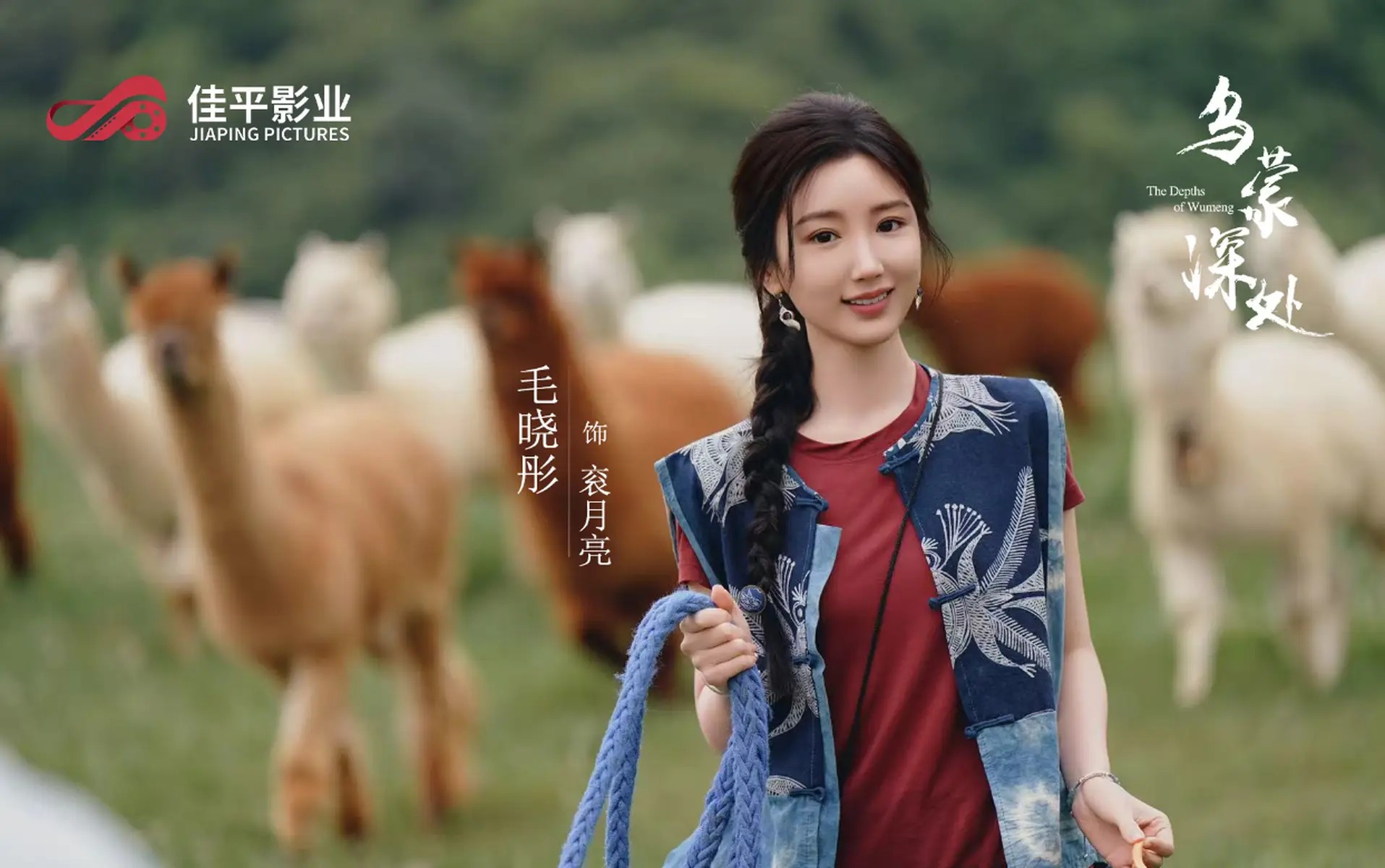 陶白白离婚:情感博主的 “知行分裂” 与亲密关系的终极难题